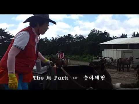 The 馬 Park in Jeju South Korea - Riding Experience 승마체험