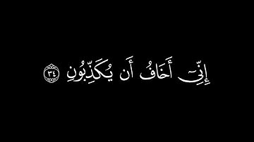 ﴿قال سنشد عضدك بأخيك﴾🍁كروما شاشة سوداء قرآن كريم 🍁 القارئ ياسر الدوسري🍁 سورة القصص
