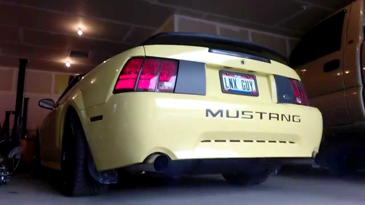 Coyotify: Sounds of the Aluminator redux