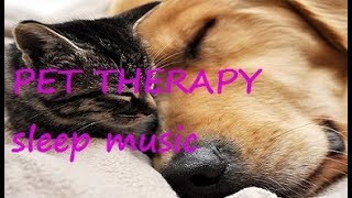 Pet Therapy: Relaxing Sleep Music for Dogs and Cats. Pet терапия, сонная музыка для собак и кошек.