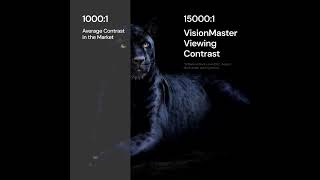 Valerion VisionMaster Pro2 Review | Triple Laser 4K Projector with 3000 ISO Lumens!