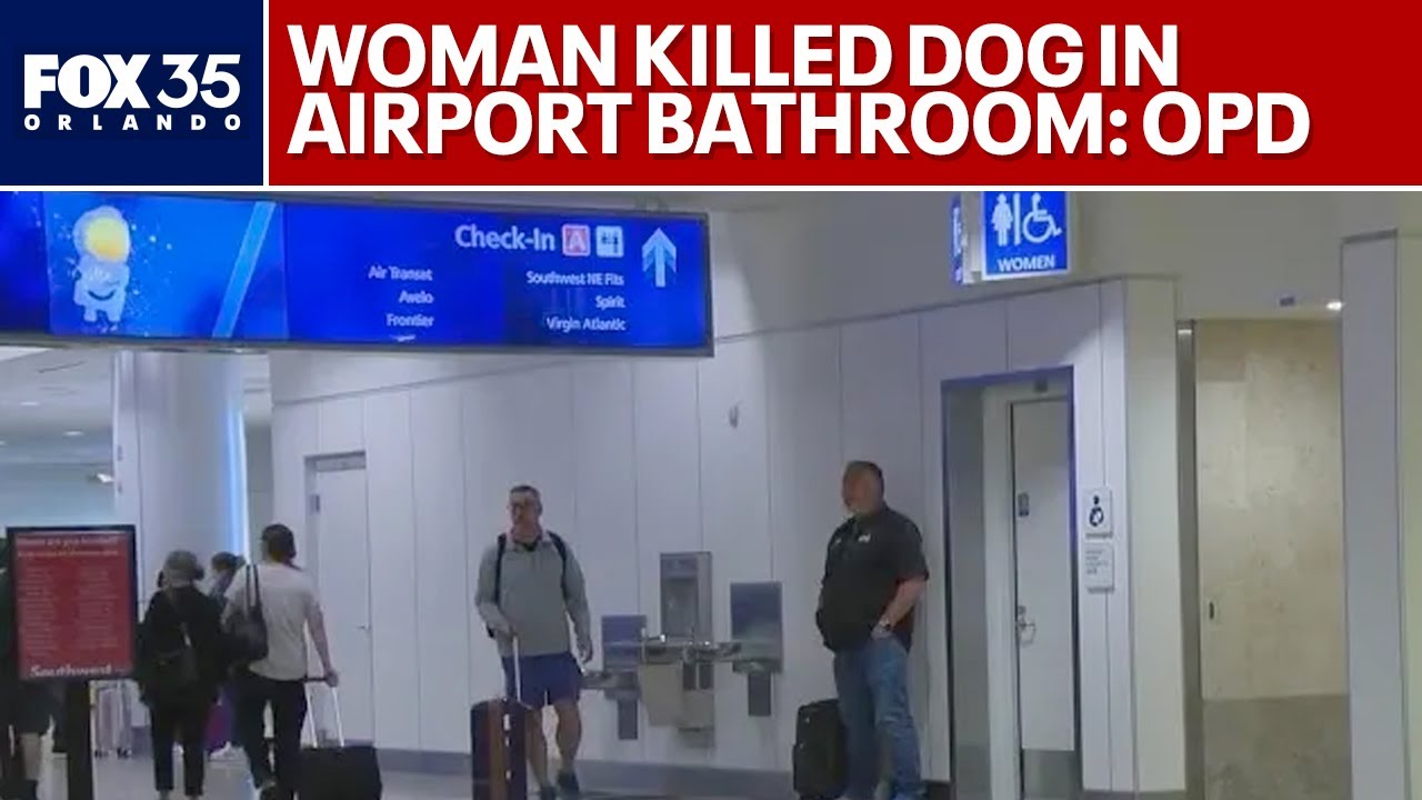 Woman accused of killing dog in Orlando airport bathroom - YouTube