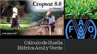 Cálculo Huella Hídrica Cultivo