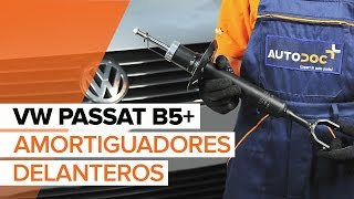 Mantenimiento Passat B5 - vídeo guía