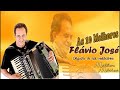 Flávio José - só as melhores