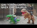 surprise anak pake dinosaurus