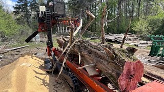 What is the value of a CEDAR TREE? | Wood mizer Lt70 cutting a CEDAR