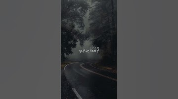 القرآن الكريم التوبة ..😍