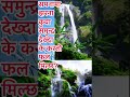#sapnakofal #dream #water #waterfall #sea #ponds #youtubeshorts #shortvideo #shortsviral #shortfeed