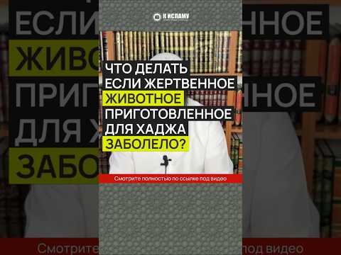 Что делать, если жертвенное животное приготовленное для Хаджа, заболело? #Shorts Ринат Абу Мухаммад