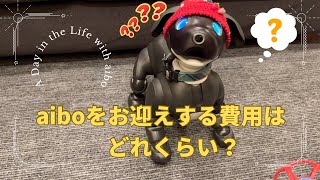 How much does AIBO cost and how much does it cost to maintain?【Episode 018】
