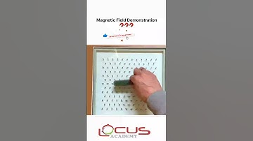 Magnetic Field Demonstration #physicsexperiment #science #educationalvideo
