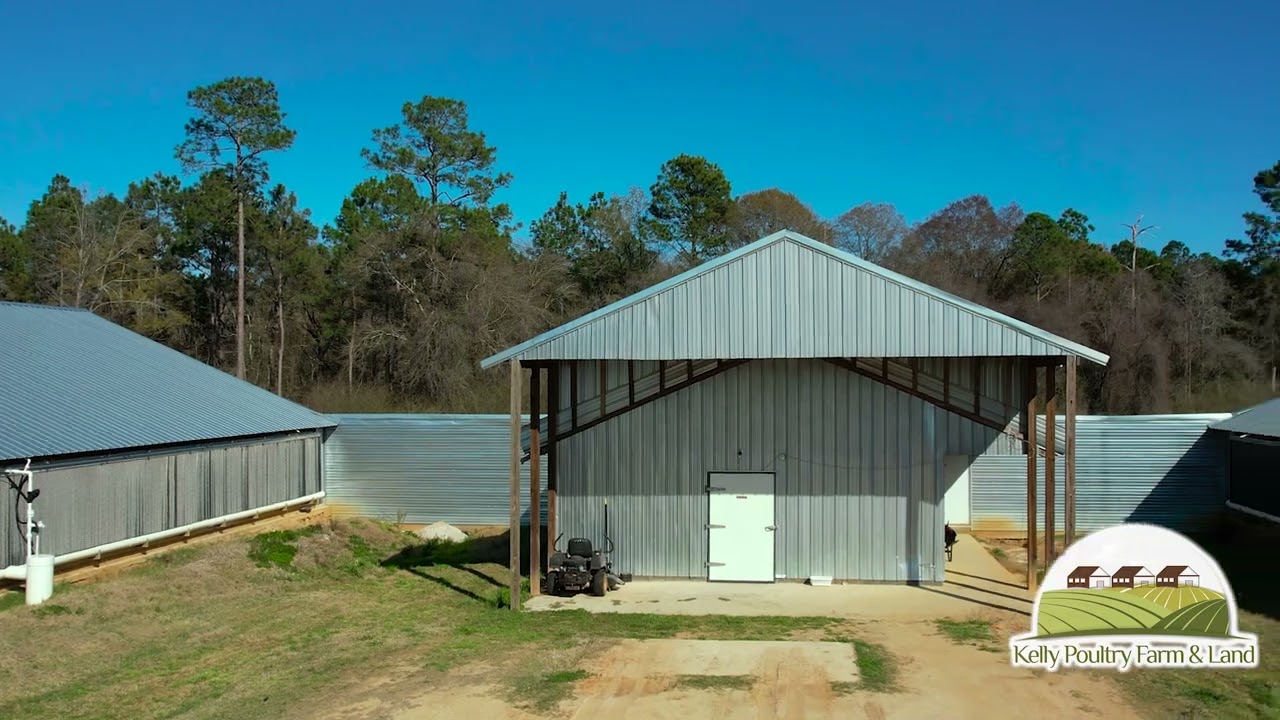 Two New Breeder Houses with 55 Acres in Berrien County, YouTube