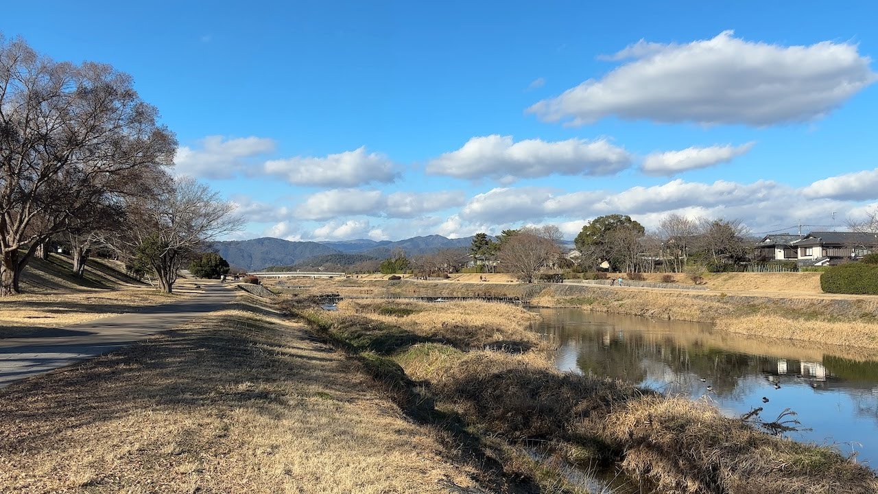 Kamo River 2 Kyoto Japan 2026 Jan 12