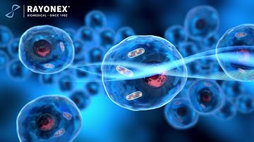 Bioresonance Webinar Canada – Aug 30, 2025 | Gudrun Bunkenburg & Prof. Dietmar Heimes