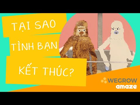 Video: Tại Sao Tình Bạn Kết Thúc