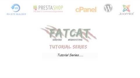 How much disk space and bandwidth do I need for my website?