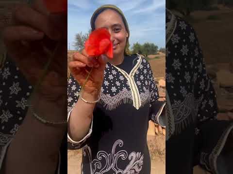 ارض الاجداد والتراث