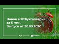 Загрузка в 1С по скану, отчет Ожидаемая оплата от покупателей, выплата дивидендов частями