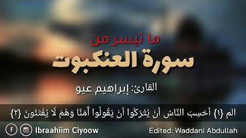 ما تيسر من سورة العنكبوت