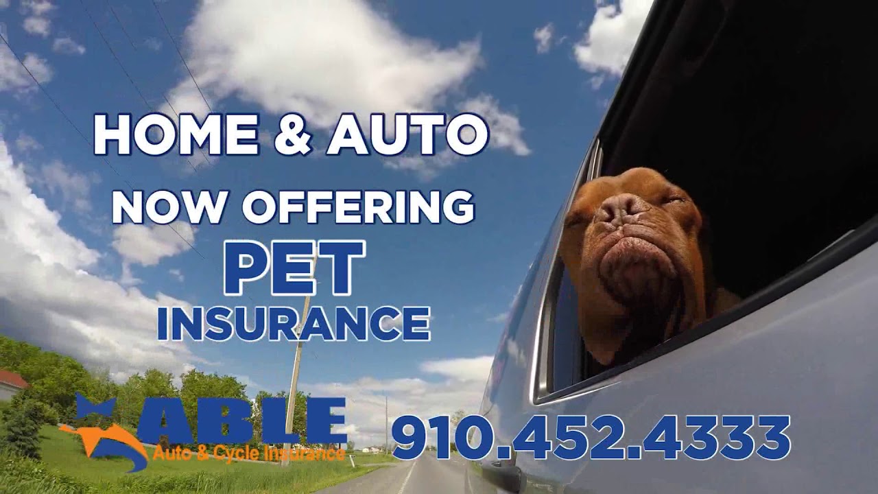 Able Auto Insurance >> Save On Your Insurance Today With Able Auto Insurance Able Auto Insurance >> Save On Your Insurance Today With Able Auto Insurance