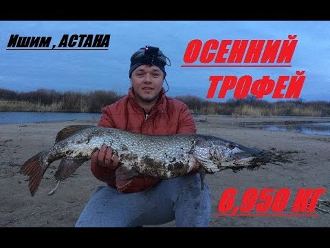 клев на сегодня астана клев на сегодня астана