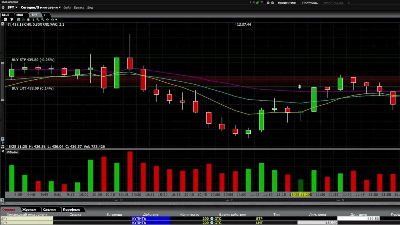 Погружение в Инвестиции с Trader Workstation от Interactive Brokers