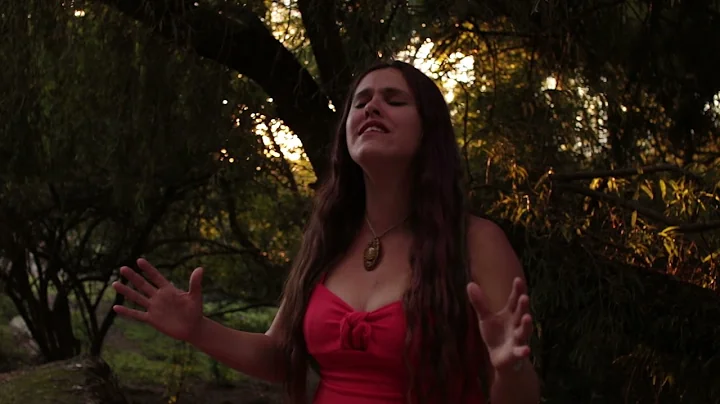 Gallo Rojo, Gallo Negro. Cecilia Villafae. El dura...