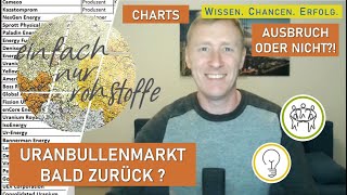 Volatile Phase Im Uransektor Spitzt Sich Zu Wohin Geht Die Reise Bei Den Uranminen? Uran, Charts