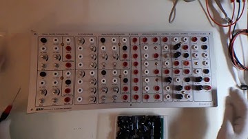 Synthorexia #11 : Sergery / Knobbing Edelweiss by Random Source (2019)