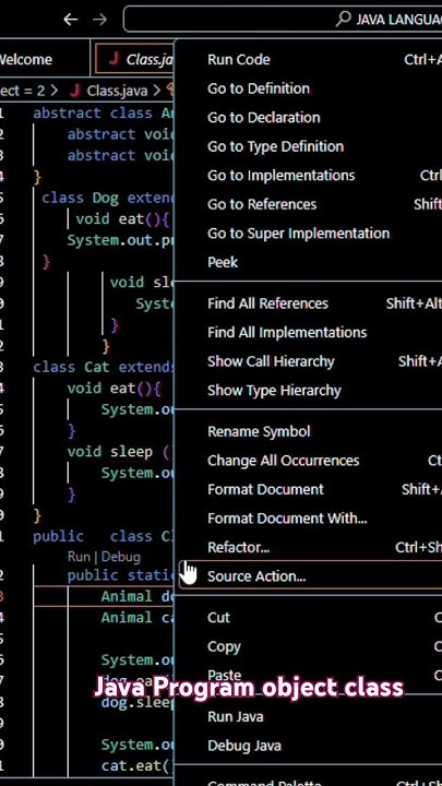 Java object program example class - YouTube