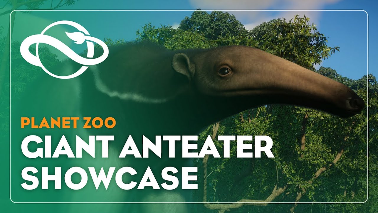 Planet Zoo | Giant Anteater Showcase