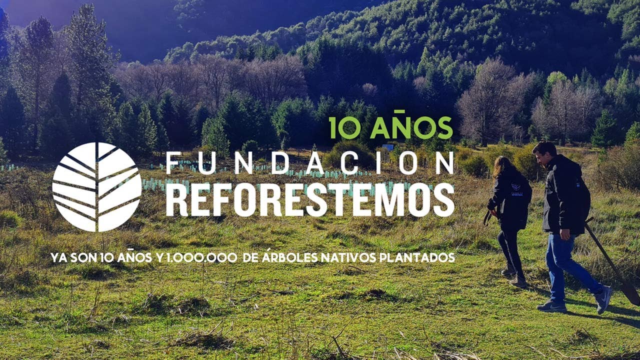 Documental: 10 años, 1 millón de árboles nativos
