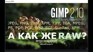 GIMP не дружит с RAW. Что делать?