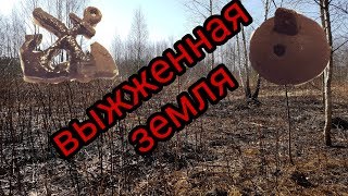 Находки выжженной земли и встреча с мутным отшельником.