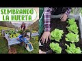 Sembrando la HUERTA DESDE CERO y cosechando todos los vegetales que habían │Candy Bu