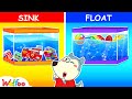 Sink or Float with Wolfoo! - Cool Science Experiments for Kids To Do at Home | Wolfoo Family