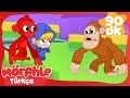 Morphle'ın Hayvanat Bahçesindeki Günü | Çocuk Çizgi Filmleri | Morphle Türkçe