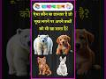 ऐसा कौन सा जानवर है जो भूख लगने पर खाता है? | GK Question and Answer | #brgkstudy​ #gkinhindi​ #gk​