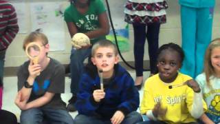 Scientific Method Rap