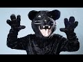 Panther mascot costume