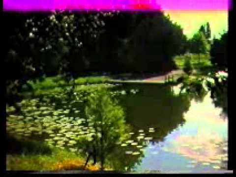 ابوداوؤد لحن العذارى