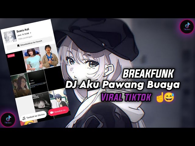 DJ Aku Pawang Buaya Breakfunk Viral TikTok 2023 class=