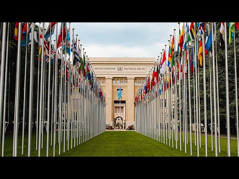 From the Rutgers Classroom to the United Nations: Building a Successful Career in Global Affairs