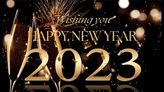 Happy New Year 2023 - Irish Setters UK & Ireland by Irish Setters UK & Ireland 1,142 views 1 year ago 3 minutes, 8 seconds