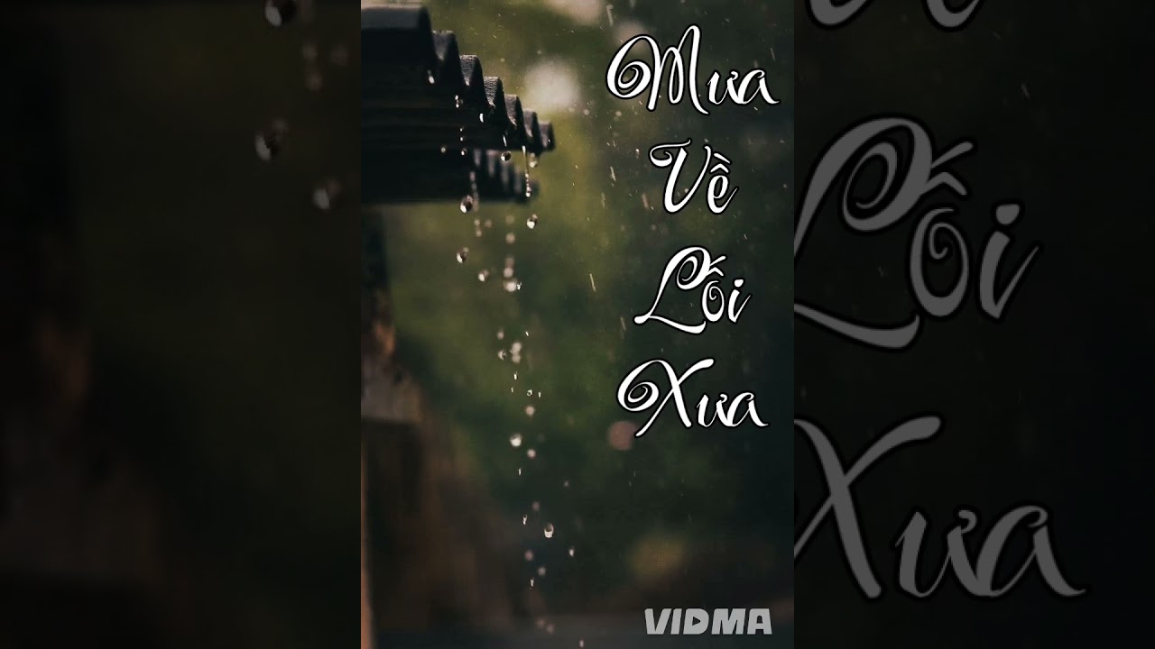 MƯA VỀ LỐI XƯA