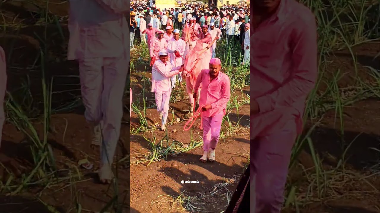 bagad khullar bail | Bavdhan bagad yatra 2025 