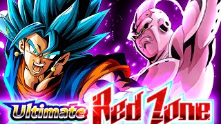 TIME LIMIT CATEGORY ONLY!! How To Beat Super Buu Red Zone Stage 2 | Dragon Ball Z Dokkan Battle