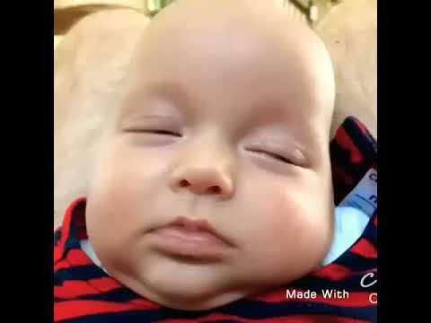 توصون شي ولاش ابو جفين