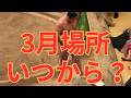 史上最速!令和8年3月場所の日程を紹介 #相撲 #sumo